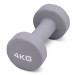 Гантель для аэробики неопреновая 4 кг PRCTZ NEOPRENE DUMBBELL PS7125 75_75