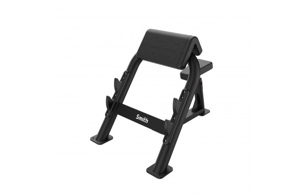 Парта для бицепса Smith Fitness SR013 600_380