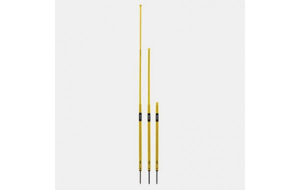 Телескопические тренажеры маневренности SKLZ Pro training Agility Poles TAPO-001 600_380